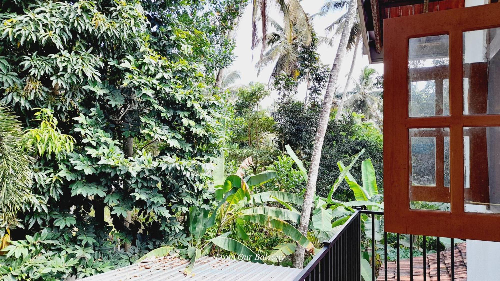 Le Meridien Bnb For Foreign Travelers เนกอมโบ ภายนอก รูปภาพ