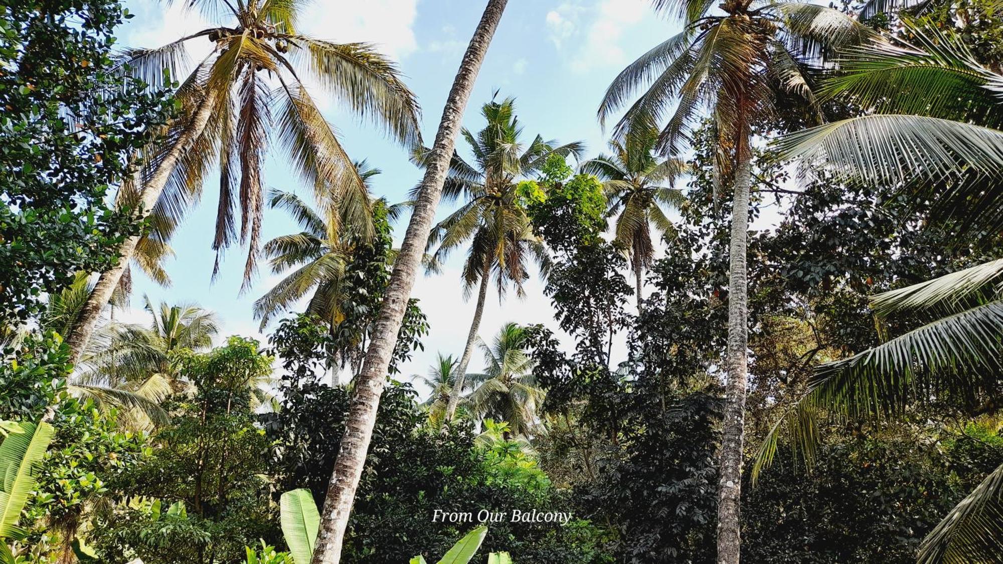Le Meridien Bnb For Foreign Travelers เนกอมโบ ภายนอก รูปภาพ